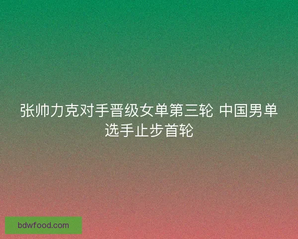 张帅力克对手晋级女单第三轮 中国男单选手止步首轮