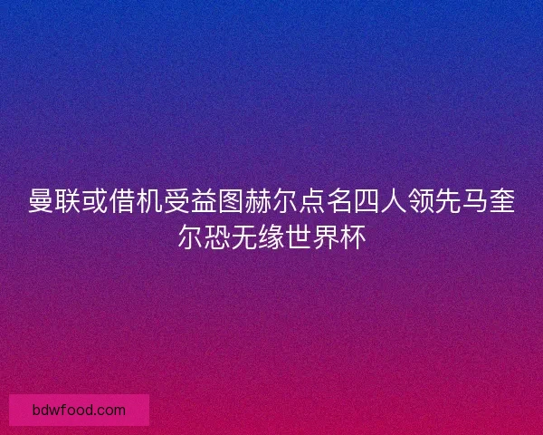 曼联或借机受益图赫尔点名四人领先马奎尔恐无缘世界杯