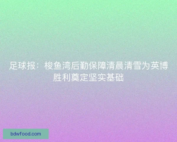 足球报：梭鱼湾后勤保障清晨清雪为英博胜利奠定坚实基础