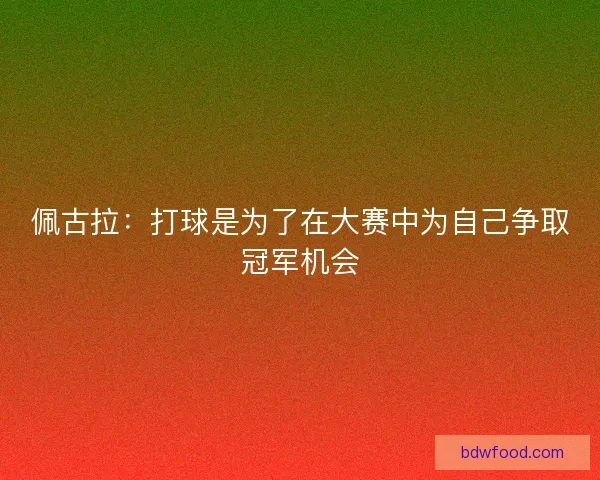 佩古拉：打球是为了在大赛中为自己争取冠军机会