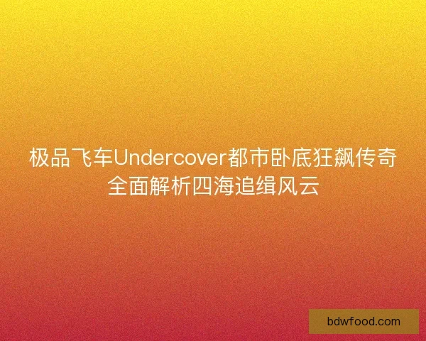 极品飞车Undercover都市卧底狂飙传奇全面解析四海追缉风云 极品飞车Undercover都市卧底狂飙传奇全面解析四海追缉风云