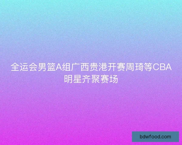 全运会男篮A组广西贵港开赛周琦等CBA明星齐聚赛场