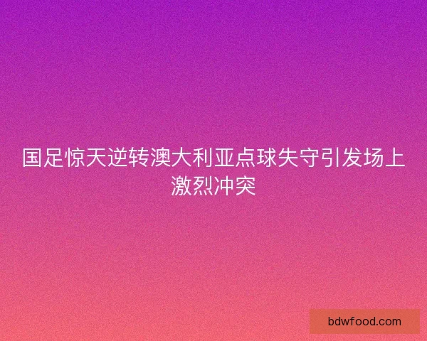 国足惊天逆转澳大利亚点球失守引发场上激烈冲突